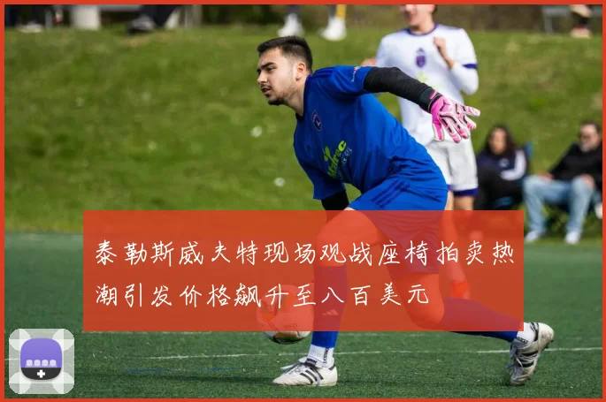 泰勒斯威夫特现场观战座椅拍卖热潮引发价格飙升至八百美元