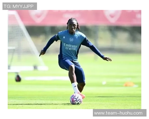 阿森纳传奇球员坚信签下埃泽是明智之举认为球队阵容无明显短板